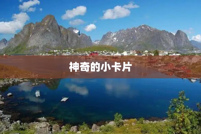 神奇的小卡片
