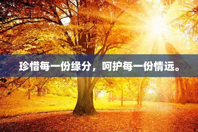 珍惜每一份缘分,呵护每一份情远。