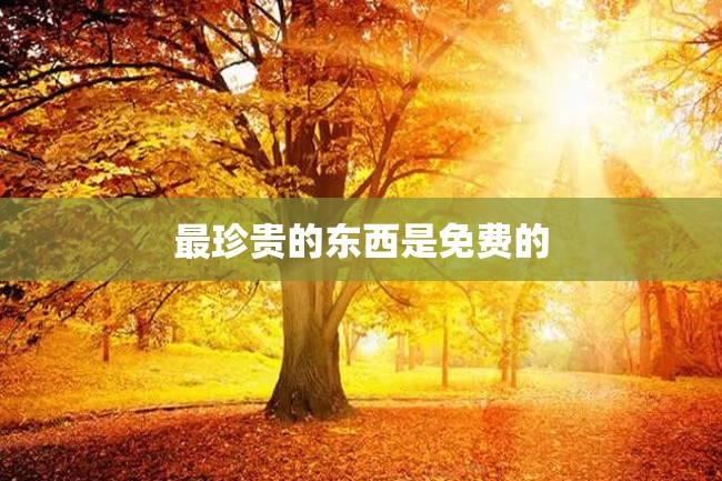 最珍贵的东西是免费的