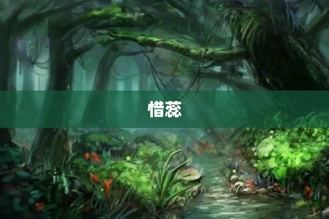 惜蕊