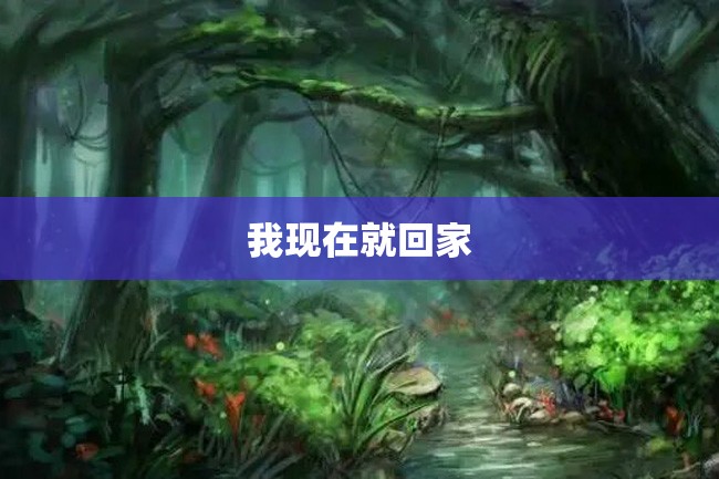 我现在就回家