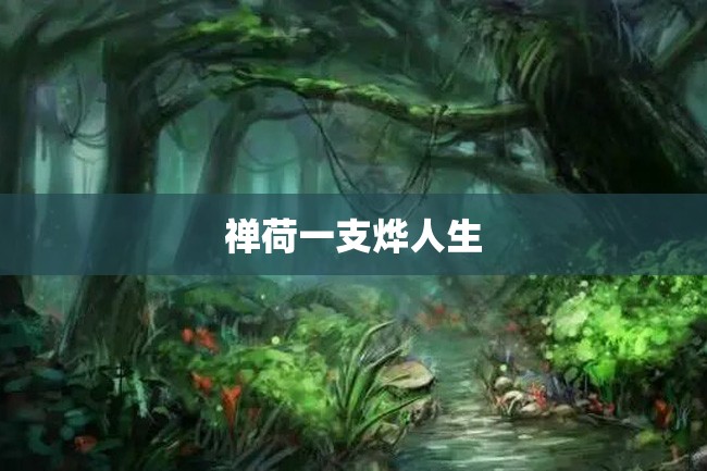 禅荷一支烨人生