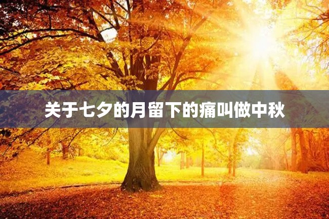 关于七夕的月留下的痛叫做中秋