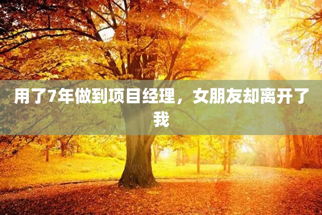 用了7年做到项目经理,女朋友却离开了我
