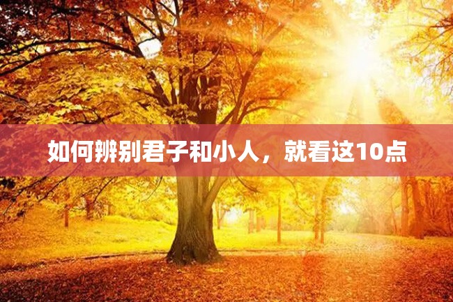 如何辨别君子和小人,就看这10点