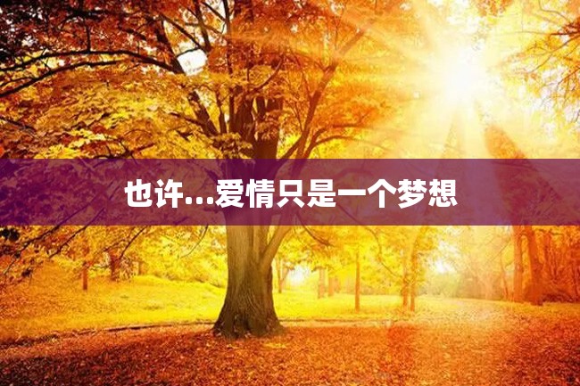 也许…爱情只是一个梦想