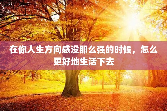 在你人生方向感没那么强的时候,怎么更好地生活下去