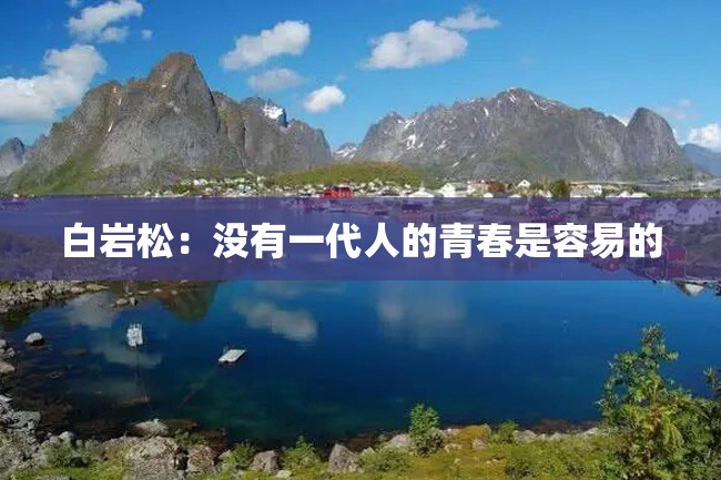 白岩松:没有一代人的青春是容易的