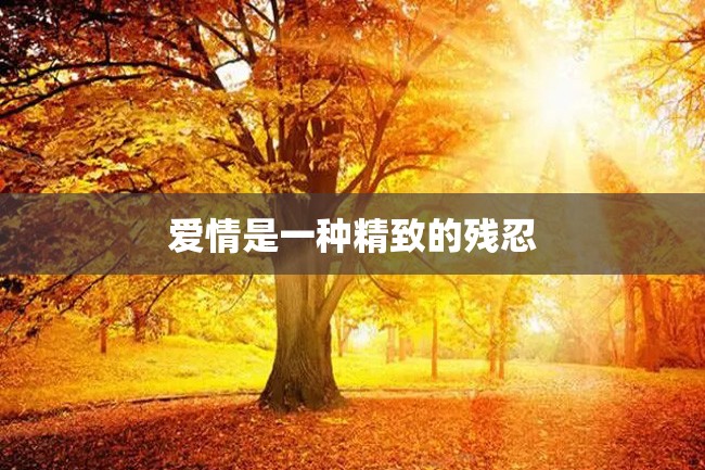 爱情是一种精致的残忍