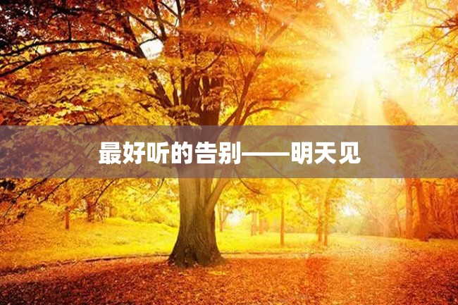最好听的告别——明天见