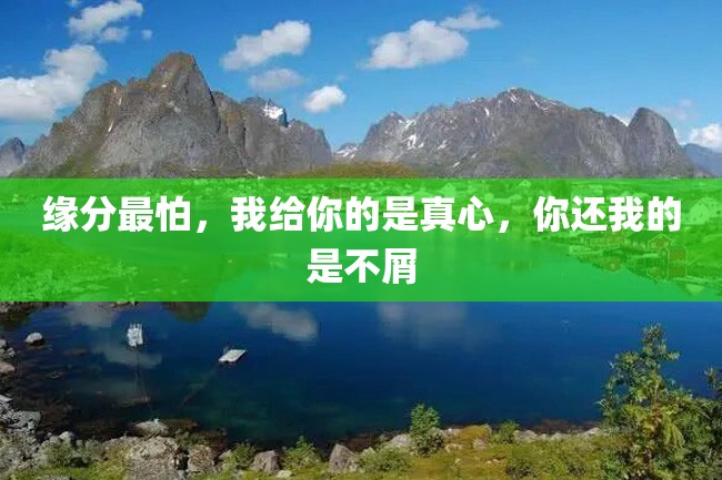 缘分最怕,我给你的是真心,你还我的是不屑