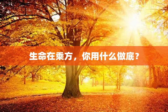 生命在乘方,你用什么做底?