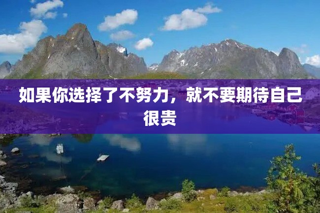如果你选择了不努力,就不要期待自己很贵
