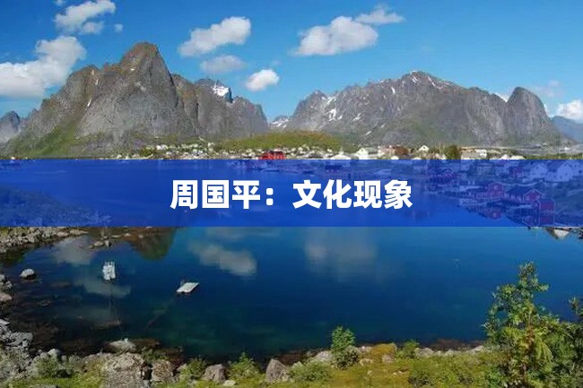 周国平：文化现象