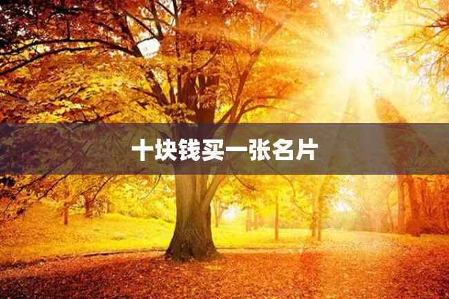 十块钱买一张名片