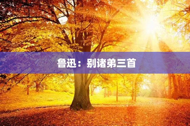 鲁迅:别诸弟三首