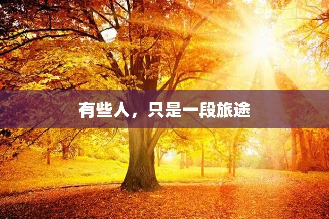 有些人,只是一段旅途