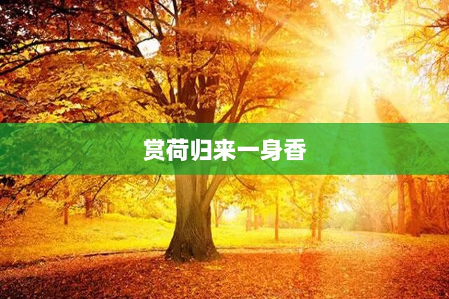 赏荷归来一身香