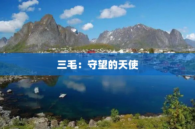 三毛:守望的天使