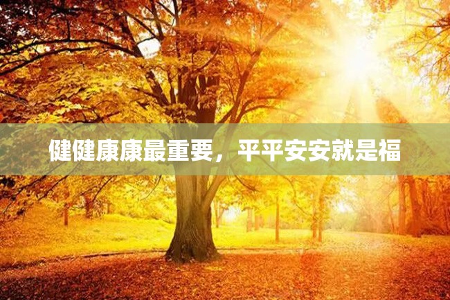 健健康康最重要,平平安安就是福