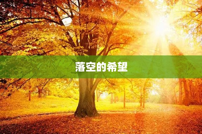 落空的希望