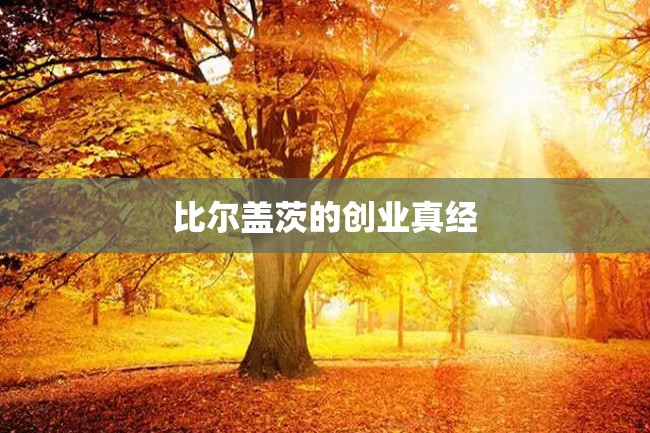 比尔盖茨的创业真经