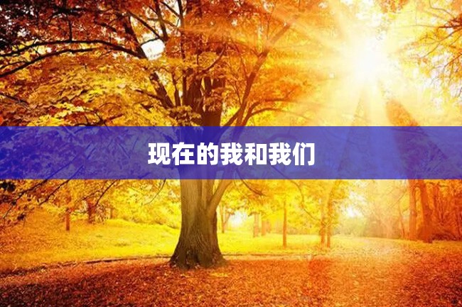 现在的我和我们