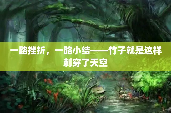 一路挫折,一路小结——竹子就是这样刺穿了天空