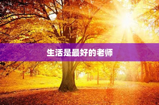 生活是最好的老师