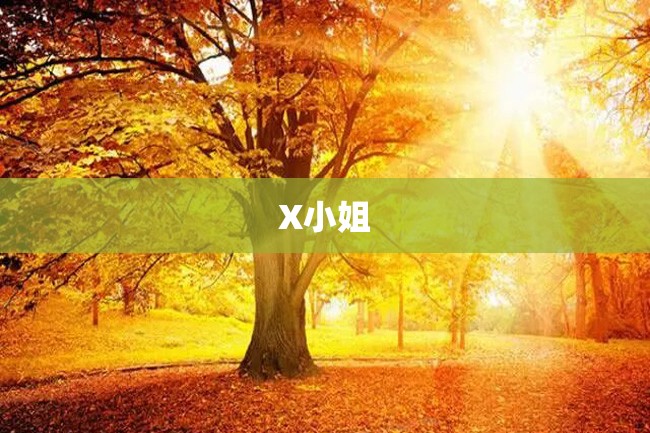 X小姐