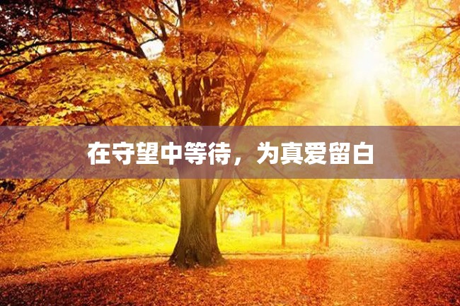 在守望中等待,为真爱留白