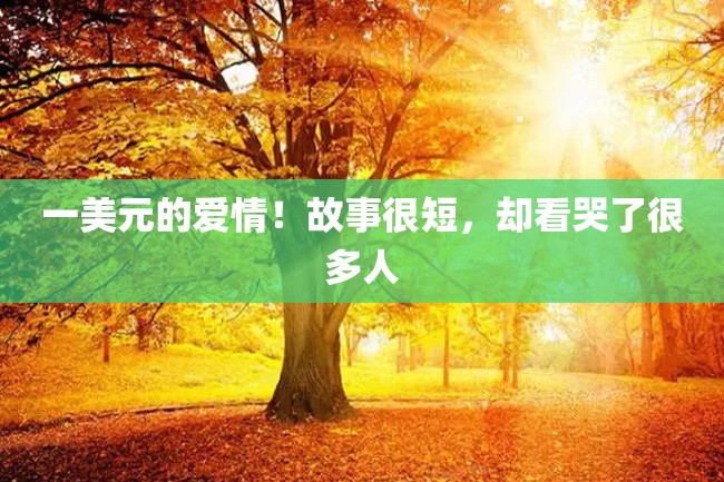 一美元的爱情!故事很短,却看哭了很多人