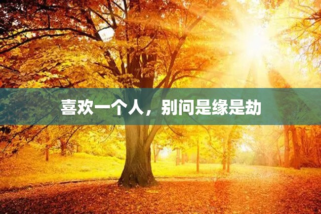 喜欢一个人,别问是缘是劫