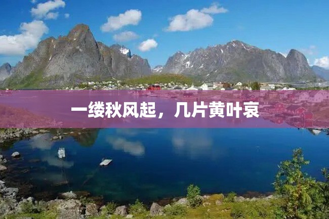 一缕秋风起,几片黄叶哀