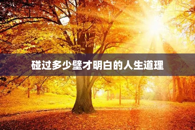 碰过多少壁才明白的人生道理