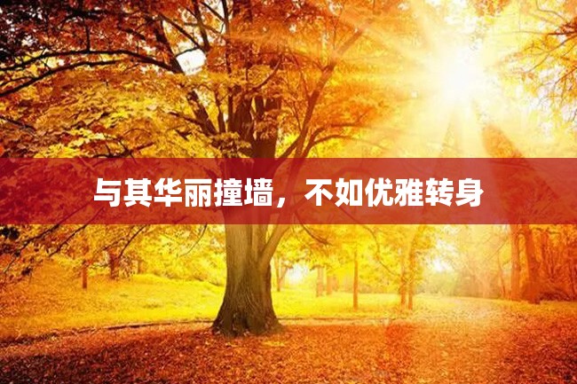 与其华丽撞墙,不如优雅转身