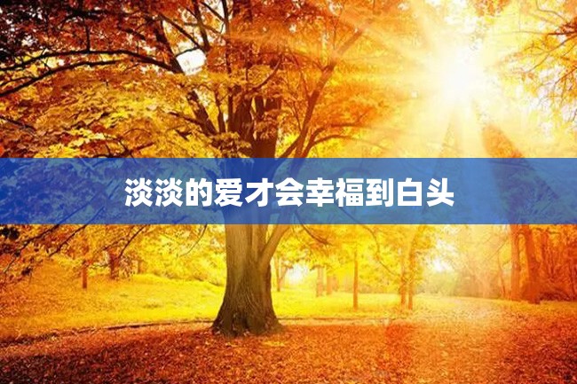 淡淡的爱才会幸福到白头