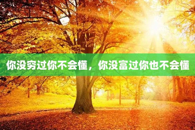 你没穷过你不会懂,你没富过你也不会懂