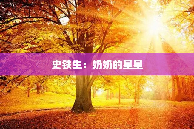 史铁生:奶奶的星星