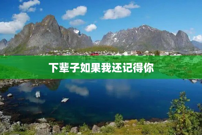 下辈子如果我还记得你
