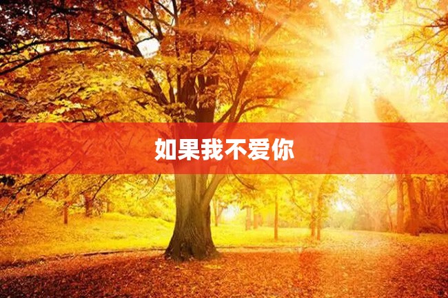 如果我不爱你