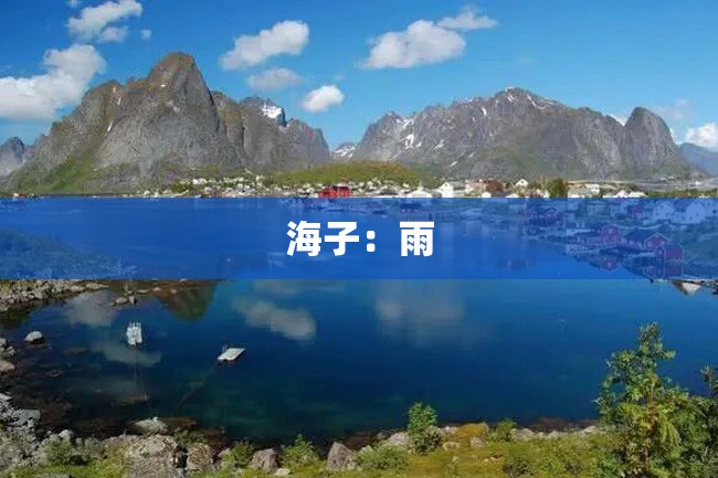 海子:雨