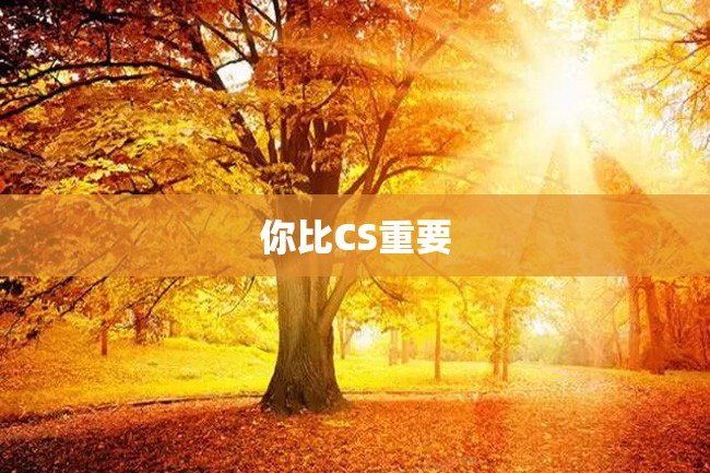 你比CS重要