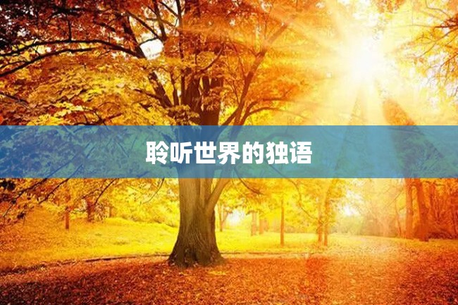 聆听世界的独语