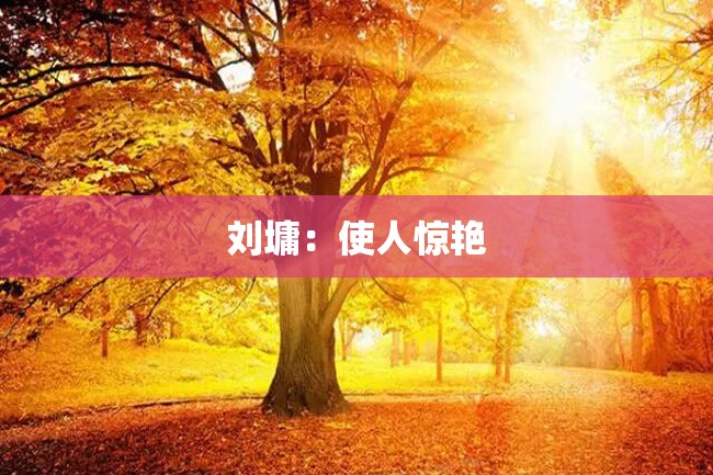 刘墉:使人惊艳