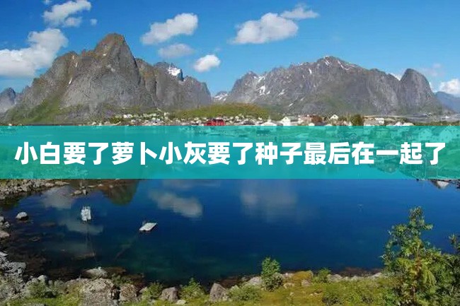 小白要了萝卜小灰要了种子最后在一起了