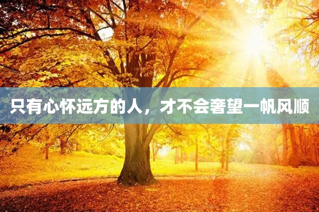只有心怀远方的人,才不会奢望一帆风顺
