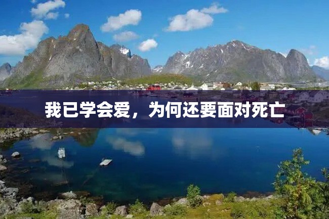 我已学会爱,为何还要面对死亡