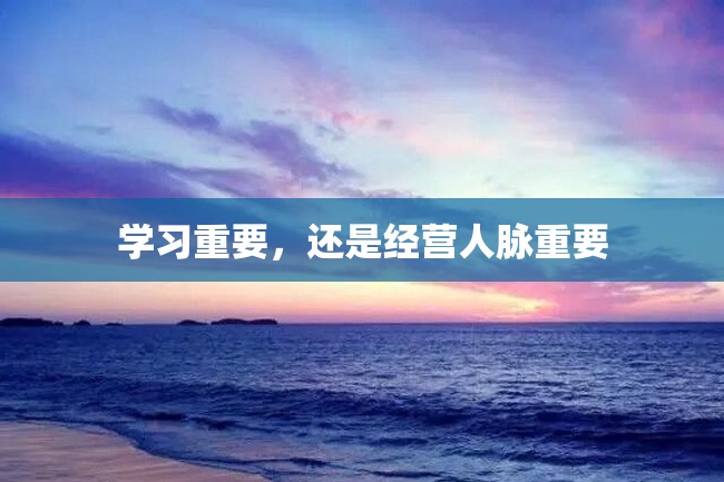 学习重要,还是经营人脉重要