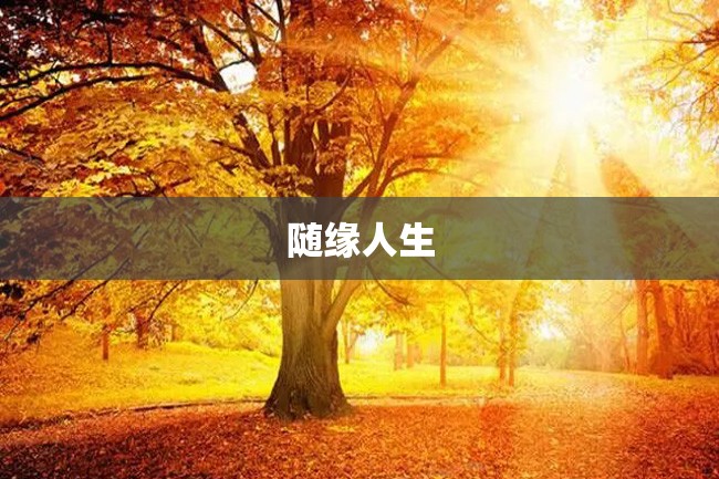 随缘人生